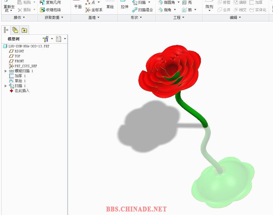 螺旋花-30313.jpg