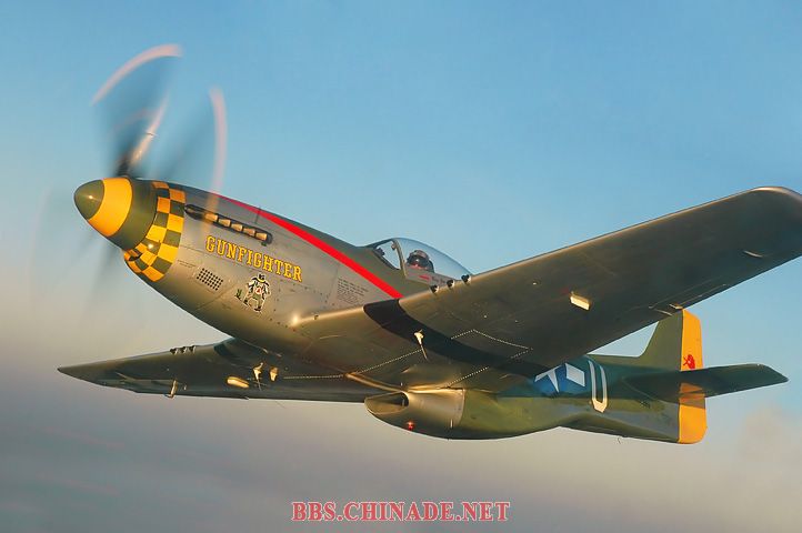 P-51-Mustang-Gunfighter.jpg