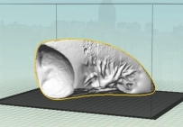 你还在苦苦寻找医疗左肺3d打印模型吗?